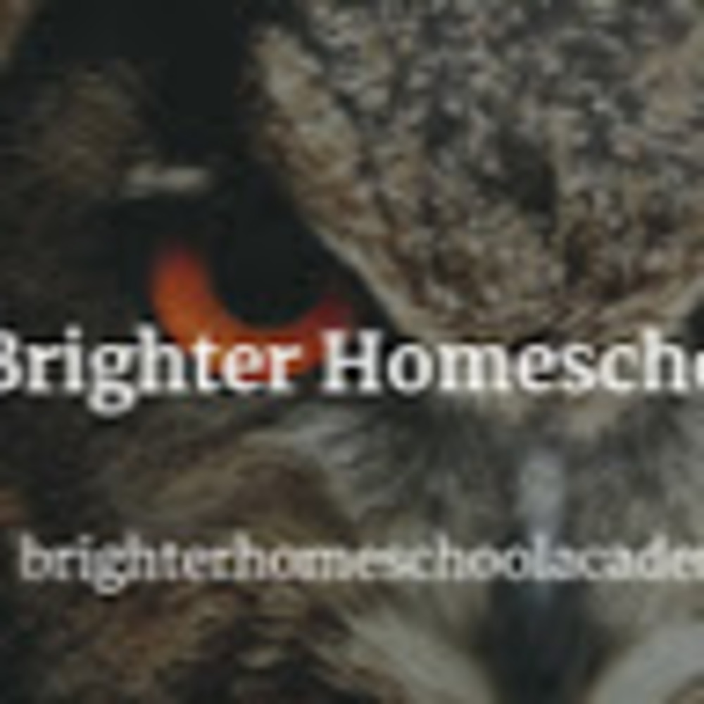 Meet your Posher, Brighter home school